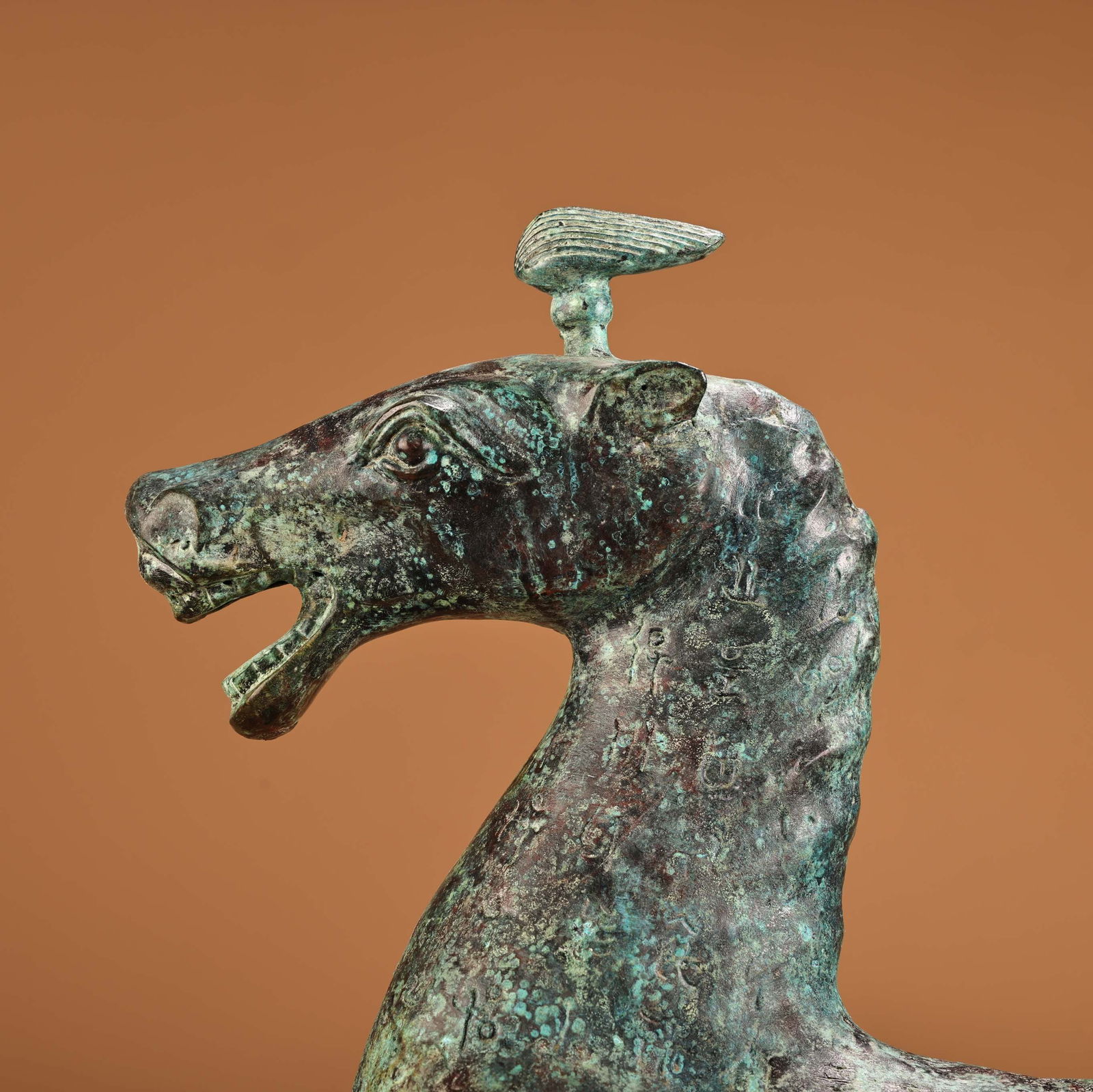 A beautiful bronze horse stepping on a flying swallow - 3