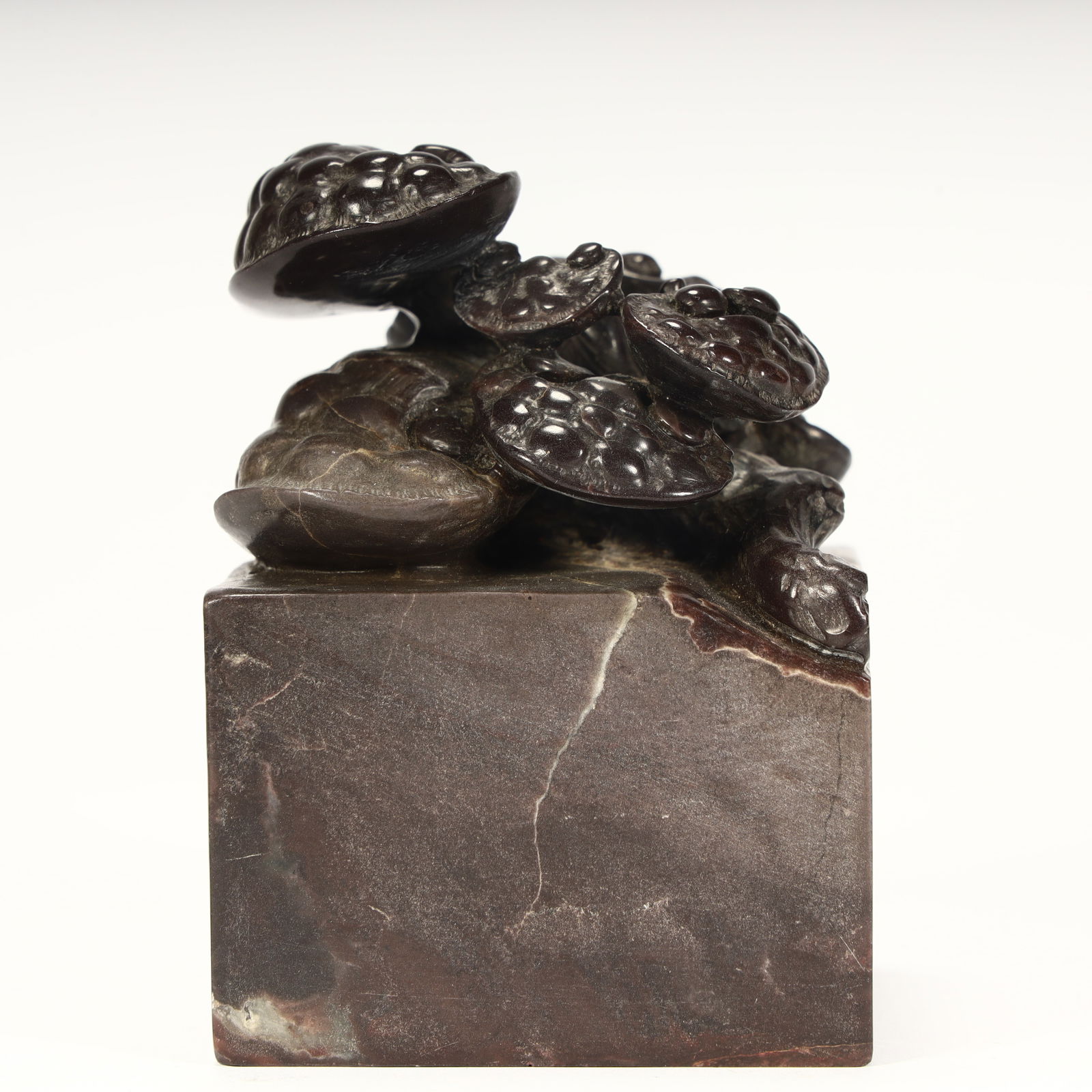 A Qing Dynasty Shoushan stone Ganoderma lucidum pattern seal - 2