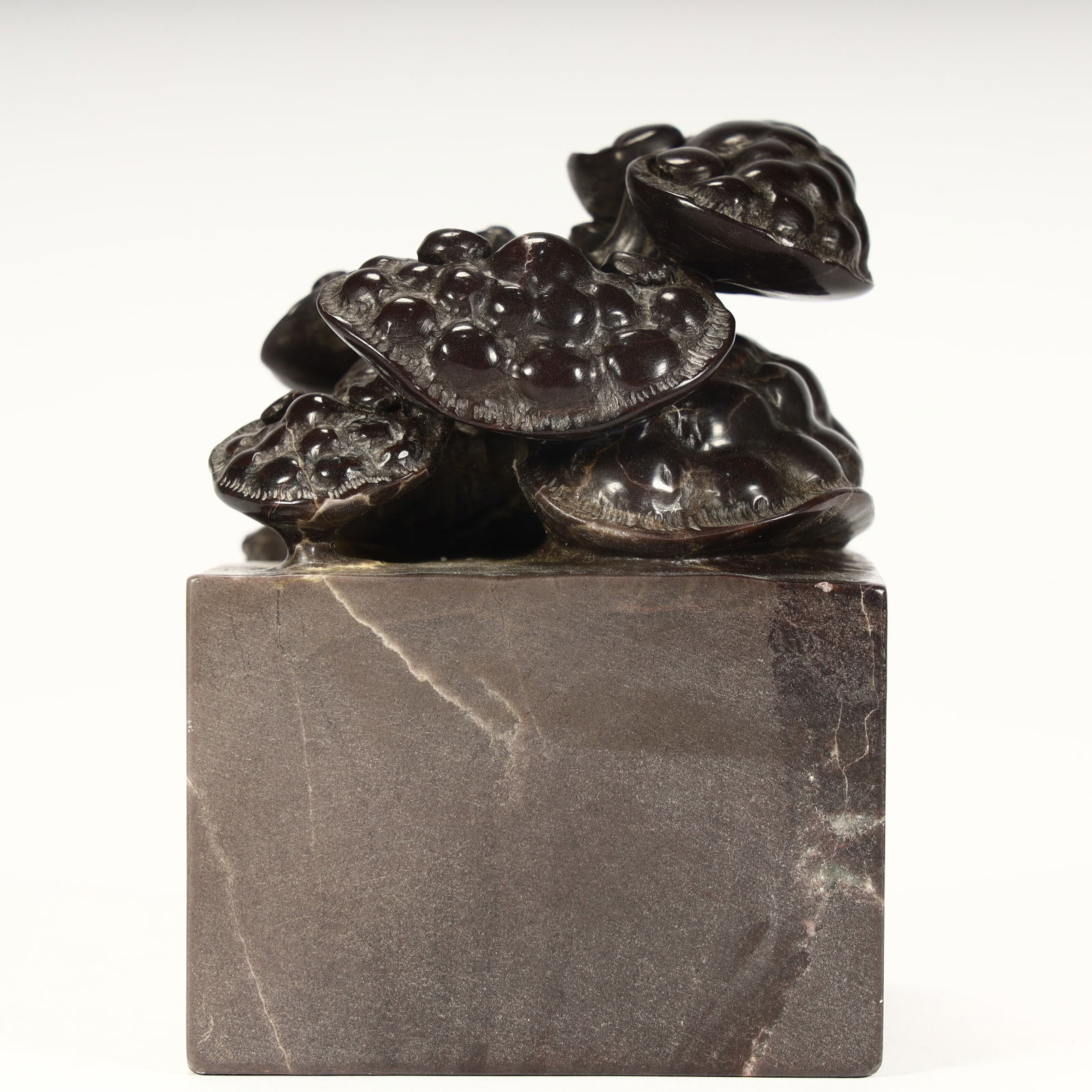 A Qing Dynasty Shoushan stone Ganoderma lucidum pattern seal - 4