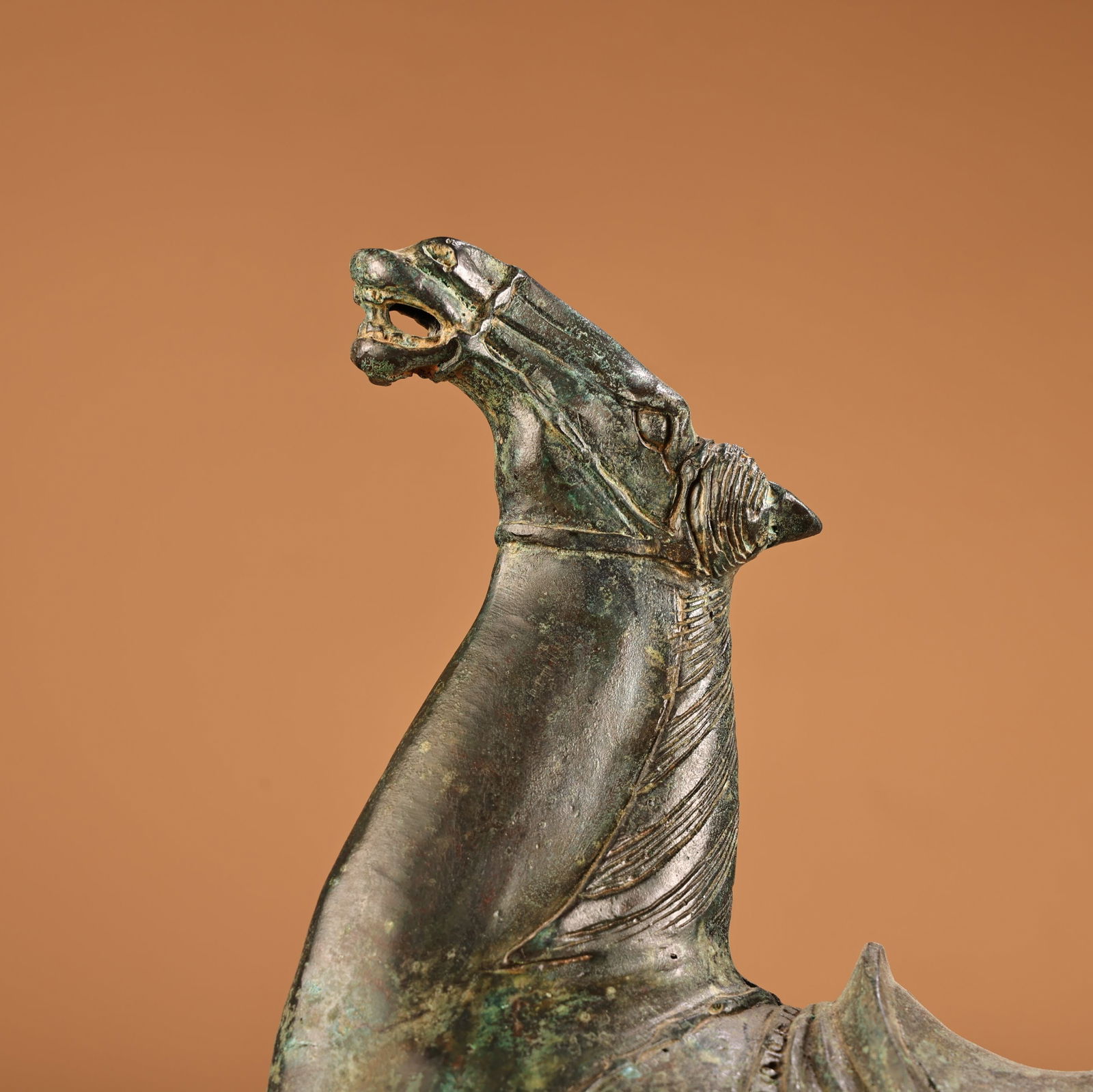 A fine bronze head-up horse - 7