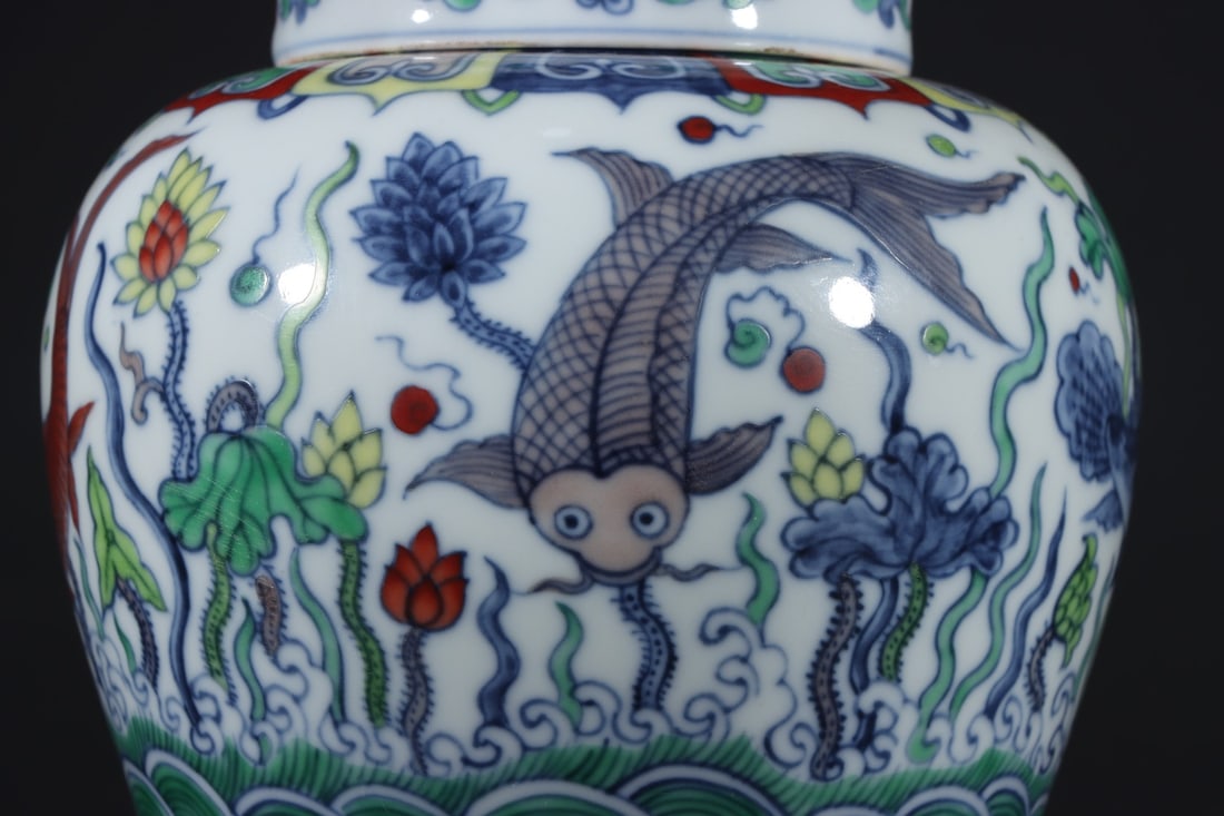 An Exquisite Doucai Fish and Lotus Pattern Jar - 5