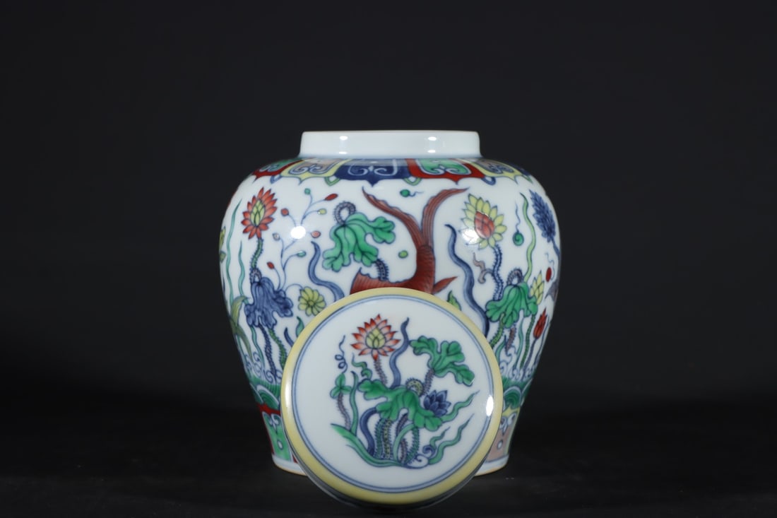 An Exquisite Doucai Fish and Lotus Pattern Jar - 7