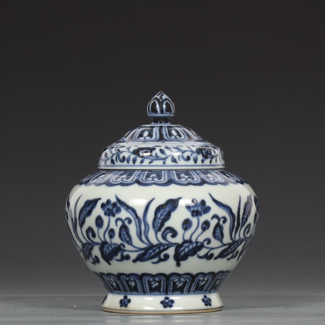 An Exquisite Blue and White Lotus Pattern Jar - 5