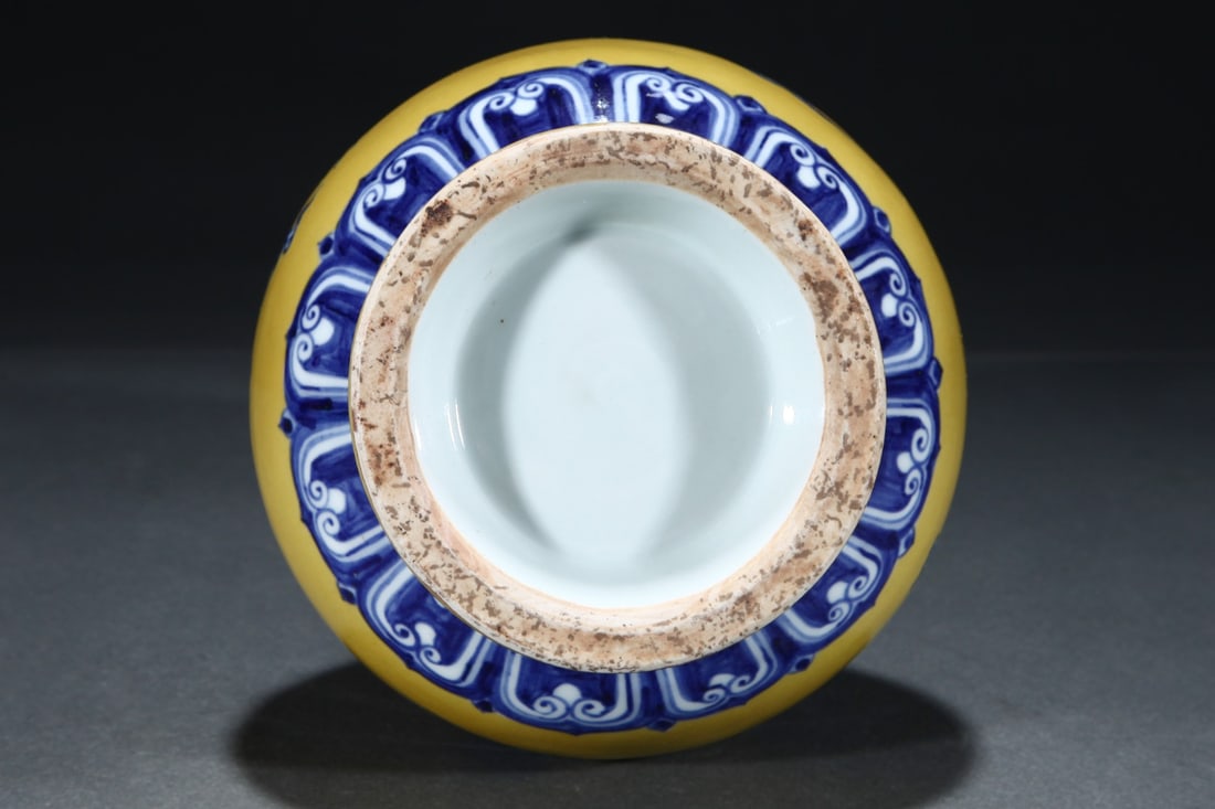 An Exquisite Blue and White Phoenix Pattern Lotus Pattern Vase - 5