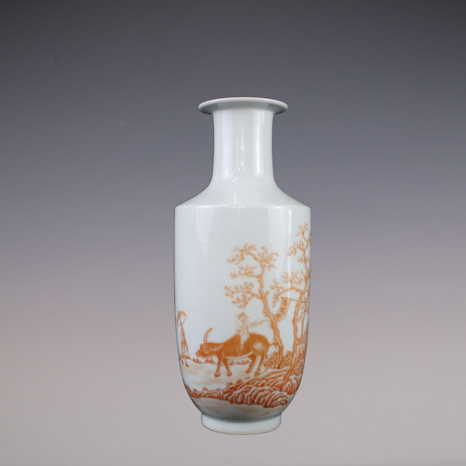 An Exquisite Iron-Red Character and Story Pattern Vase: An Exquisite Iron-Red Character and Story Pattern Vase Qing Dynasty, China Jiaqing Six-character Mark Size:22.5cmx5.5cm (The Dimensions Of All Batches Are Manually Measured.If You Need More