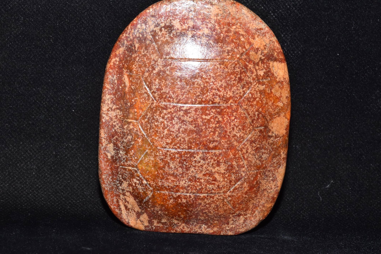 An Exquisite White Jade Tortoise Shell Ornament (1 of 6)