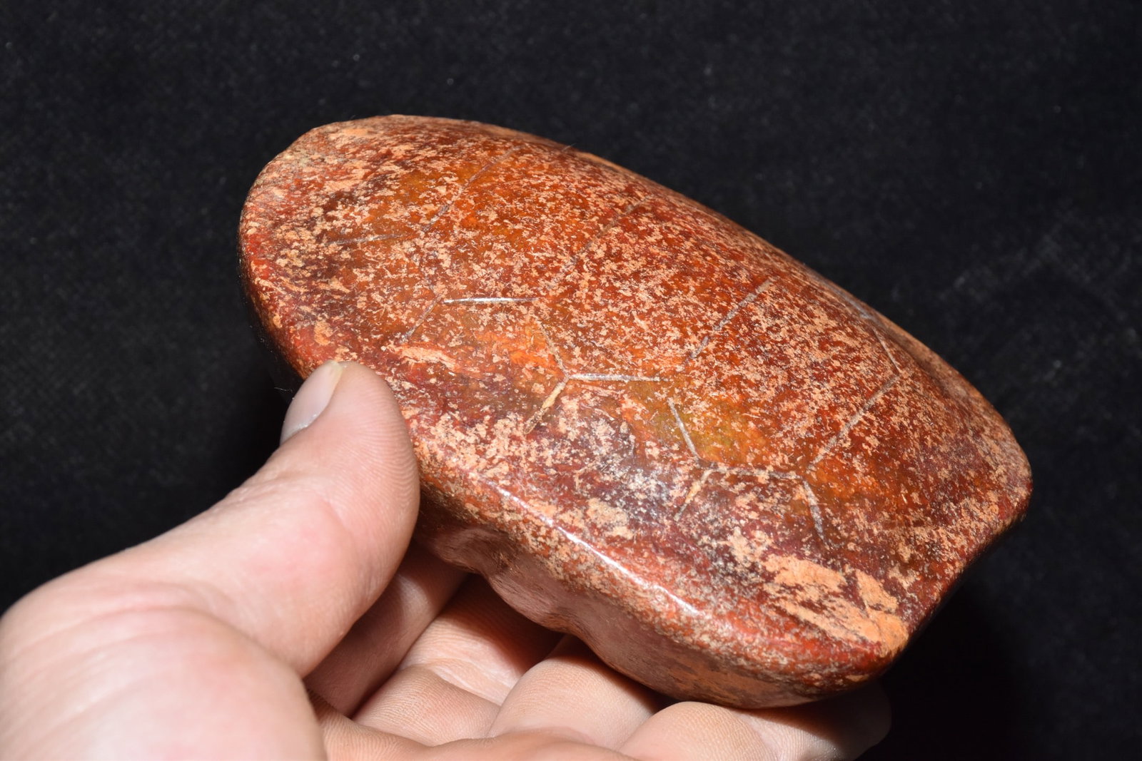 An Exquisite White Jade Tortoise Shell Ornament - 6