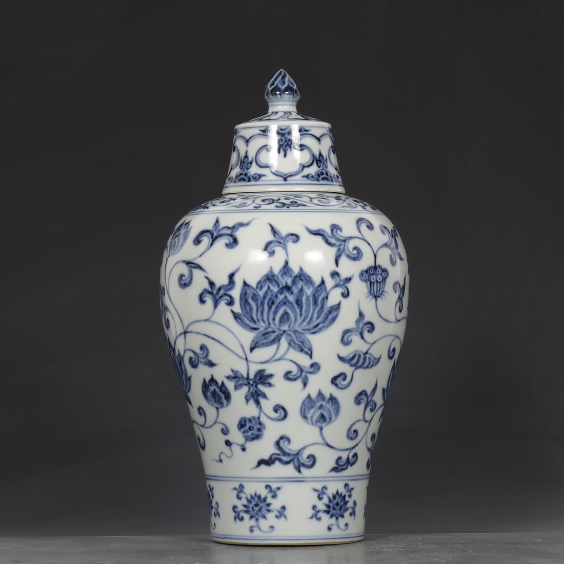 An Exquisite Blue and White Lotus Pattern Vase - 2
