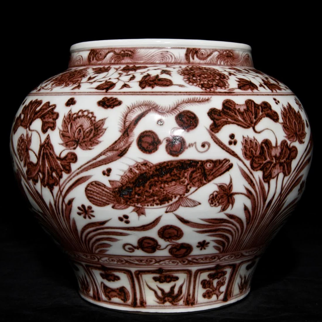 A red fish algae pattern jar in Yuan glaze - 3
