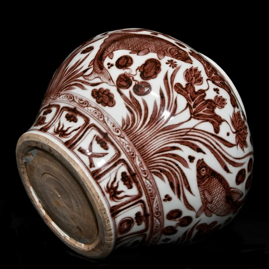 A red fish algae pattern jar in Yuan glaze - 6