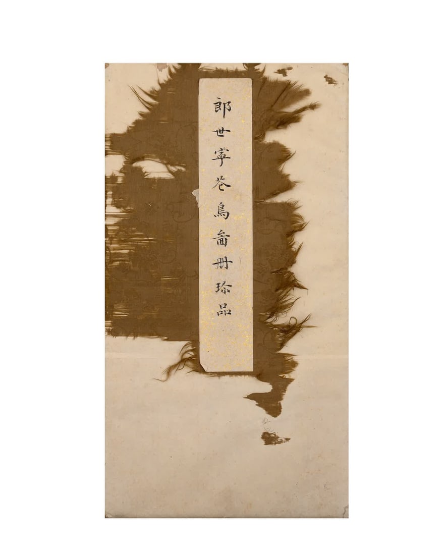 A picture of Lang Shining's flowers and birds: Lang Shining's flower and bird atlas SIZE: Painting Core40x40cm (The Dimensions Of All Batches Are Manually Measured.If You Need More Detailed Information, Please Contact Our Customer Service