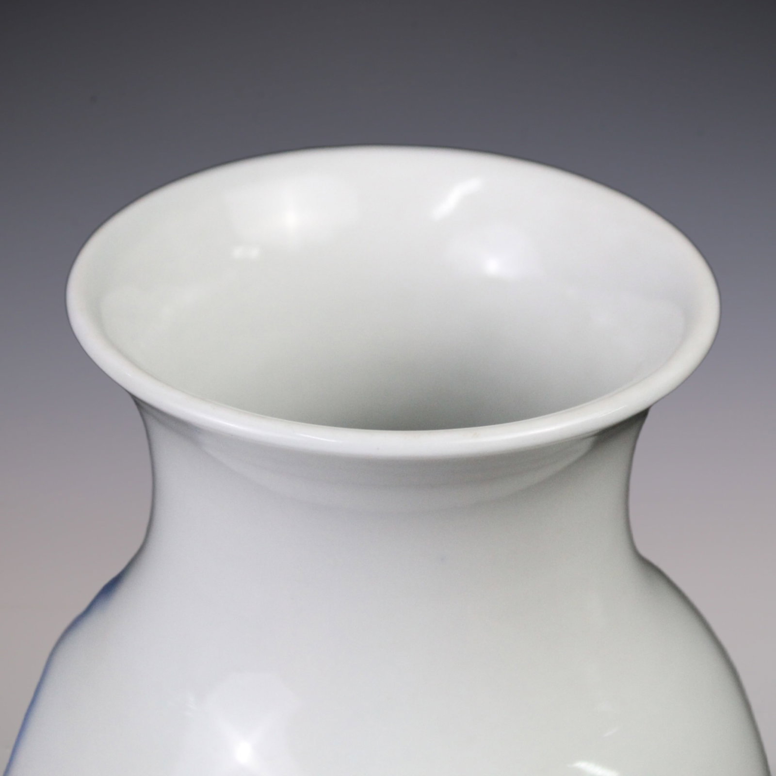 An Exquisite Blue and White Animal Pattern Vase - 6