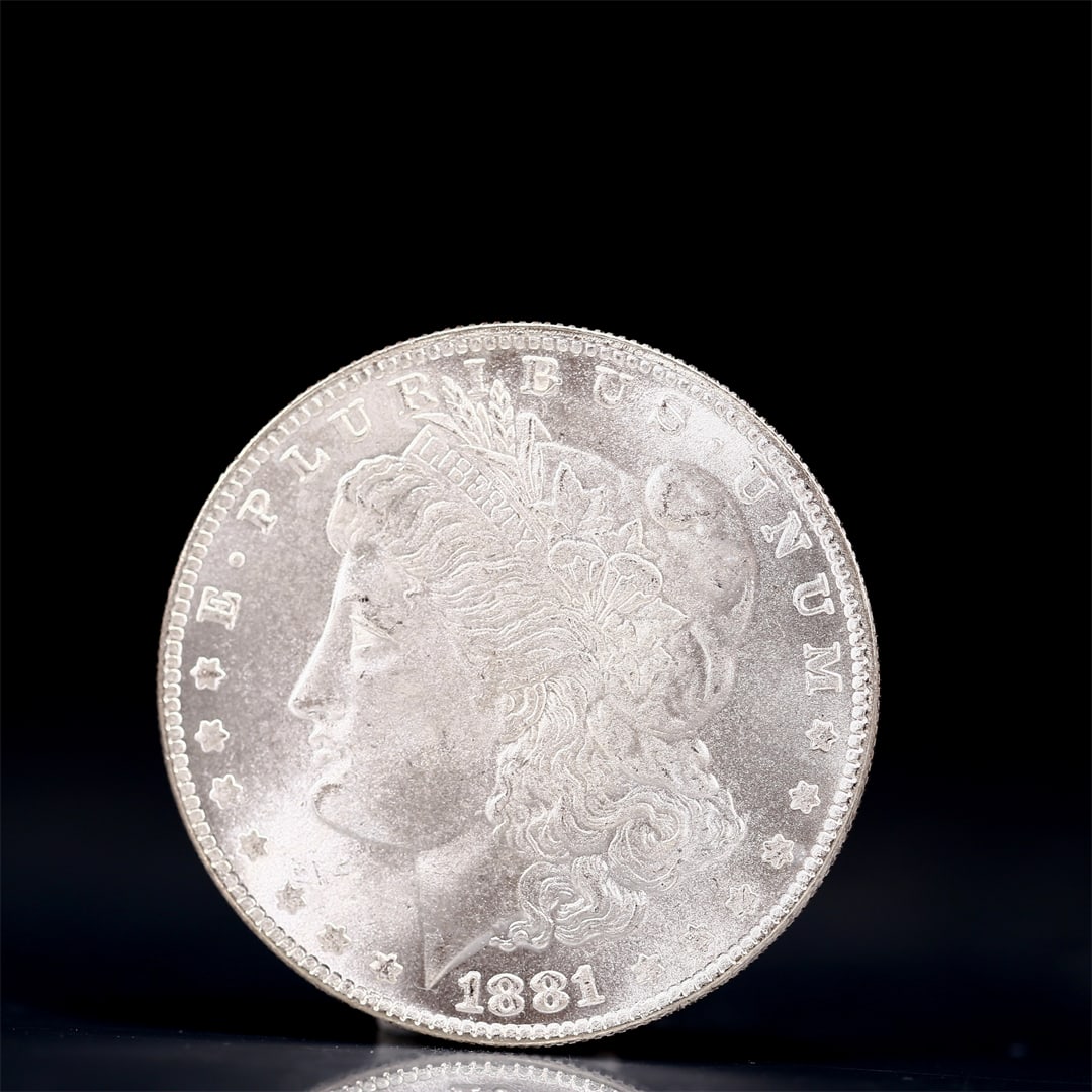 USA Morgan Dollar 1881 Coin: Obv: profile bust with date below and E PLURIBUS UNUM legend and stars around. Rev: eagle with In God we trust above within wreath with UNITED STATES OF AMERICA ONE DOLLAR legend. IN GOD WE TRUST /