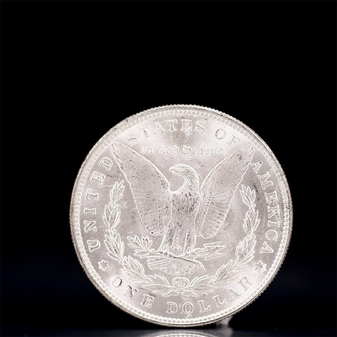 USA Morgan Dollar 1881 Coin - 2