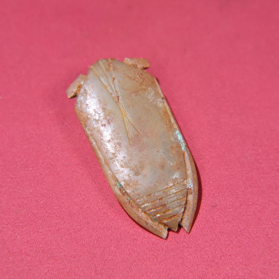 A Han Dynasty jade cicada - 5