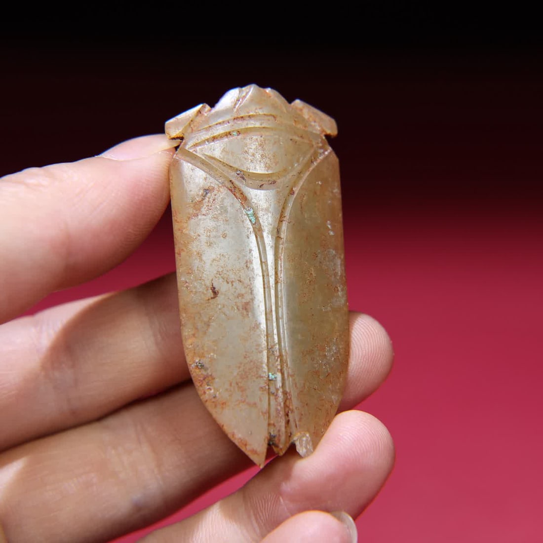 A Han Dynasty jade cicada - 6