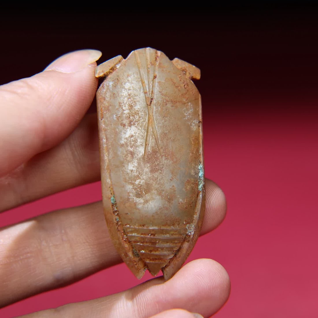 A Han Dynasty jade cicada - 9