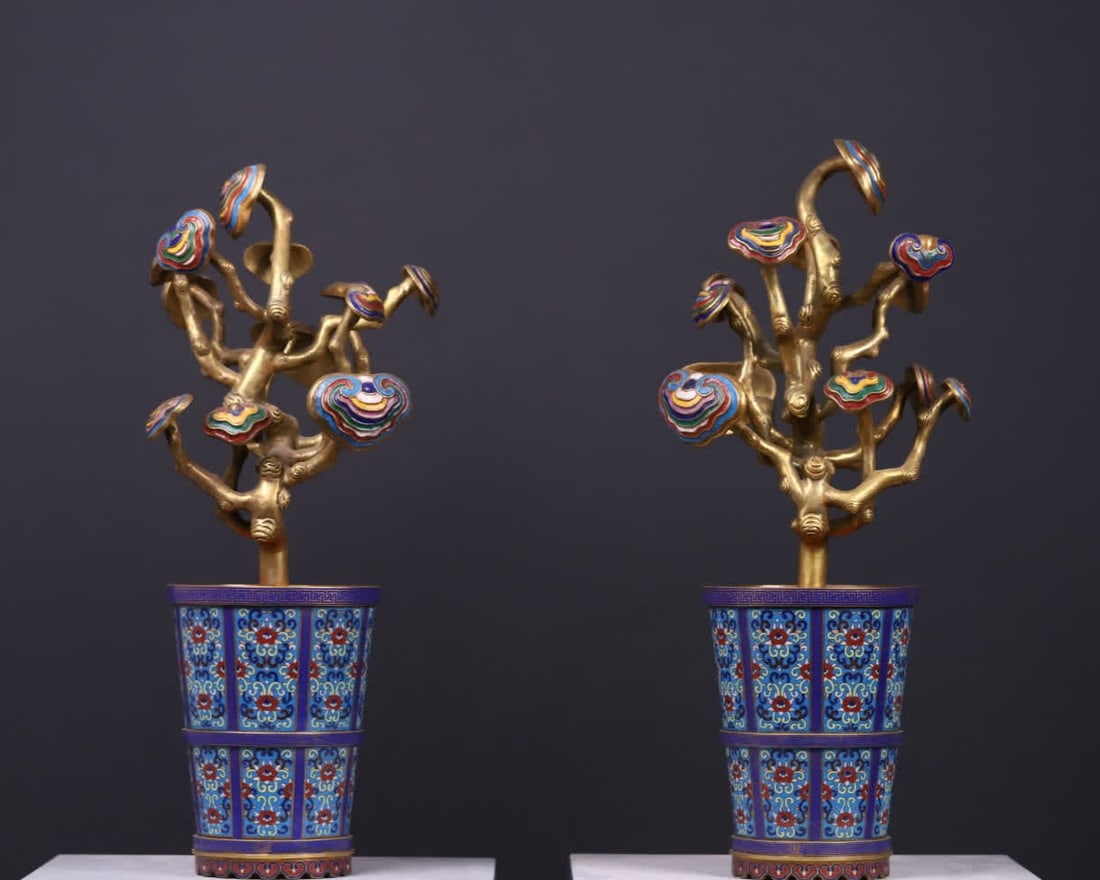 A pair of old cloisonné copper gilt Ganoderma lucidum bonsai from the Qing Dynasty: A pair of old cloisonné copper gilt Ganoderma lucidum bonsai in the Qing Dynasty SIZE: H: 61.5cm Bottom D: 13.9cm Basin mouth D: 18.5cm (The Dimensions Of All Batches Are Manually Measured.If You Nee