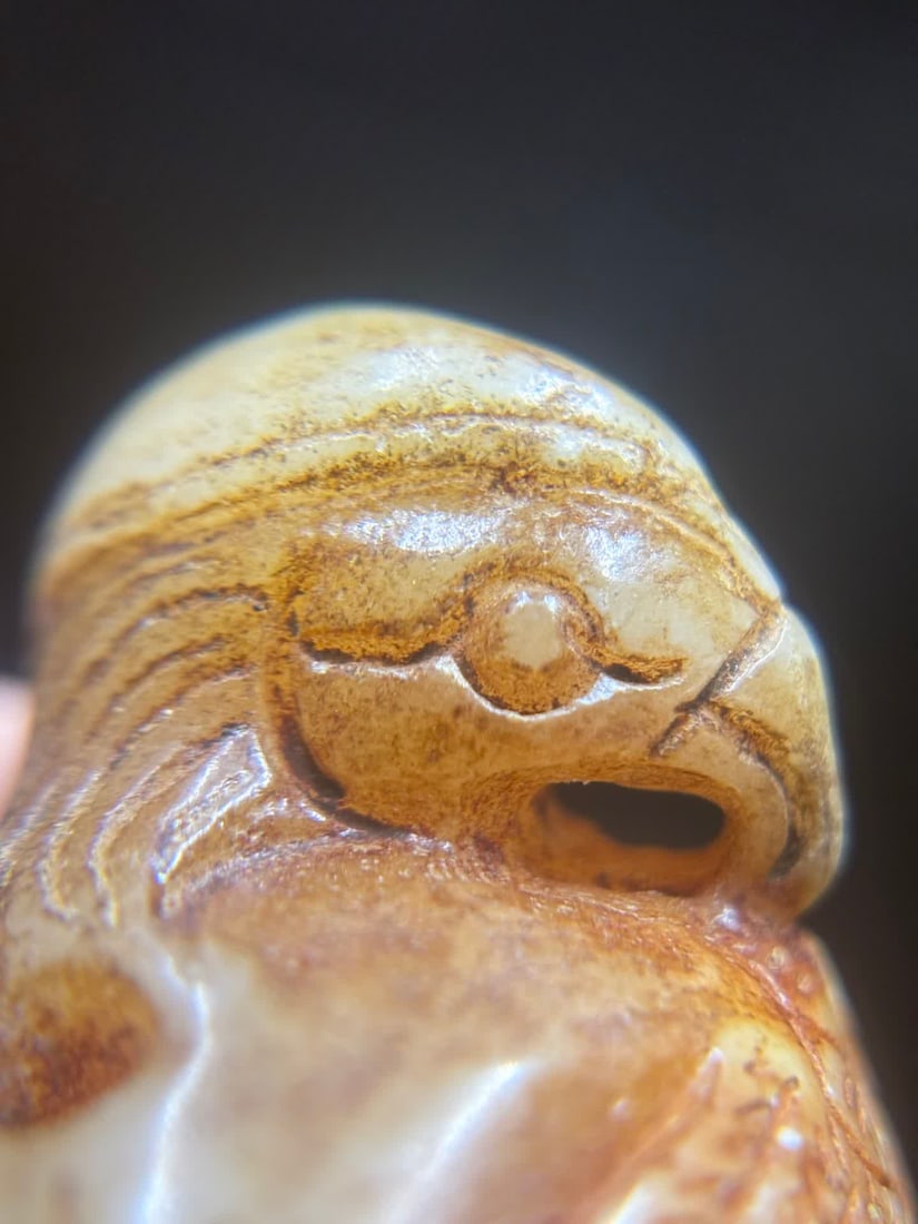 A Han Dynasty jade eagle - 6