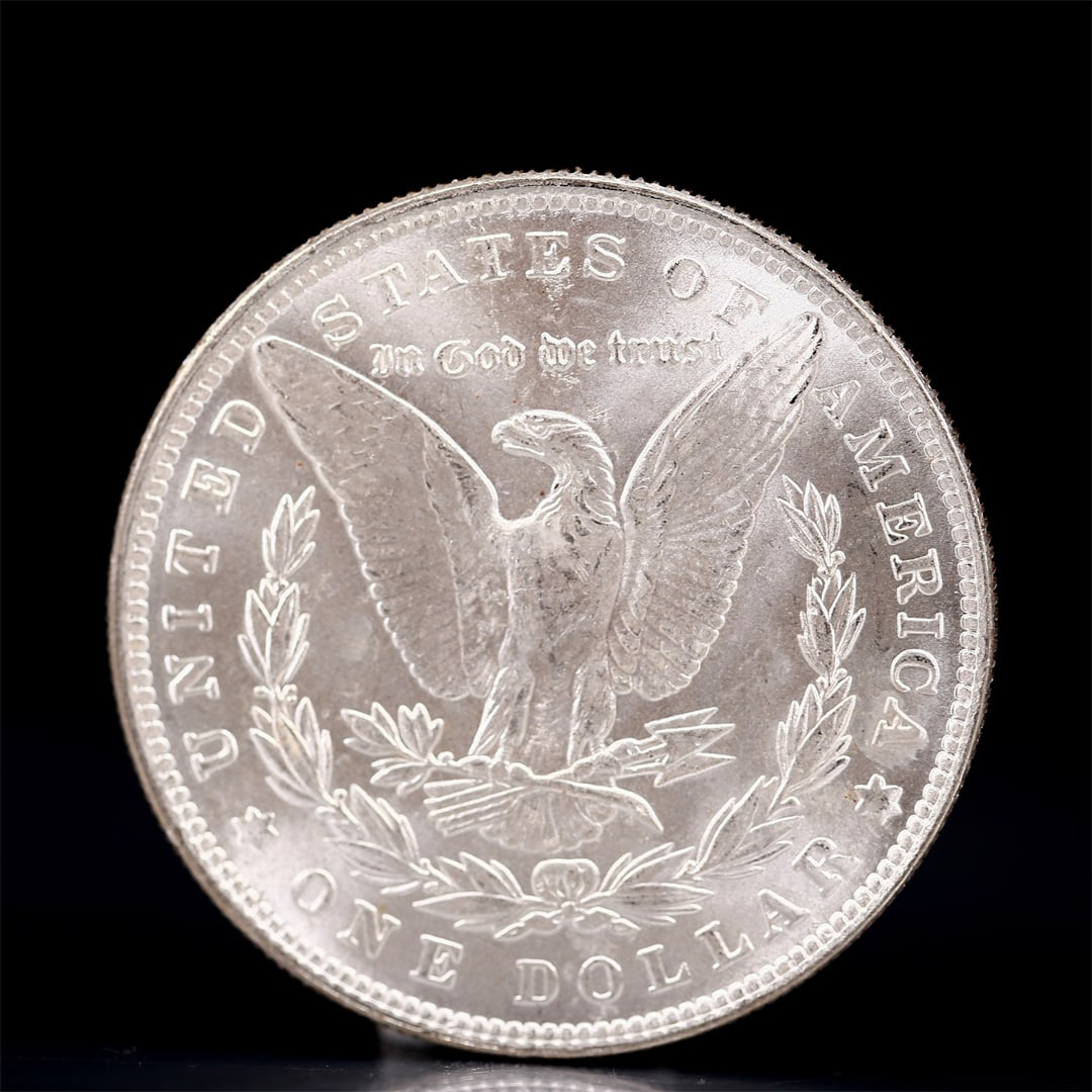 USA Morgan Dollar 1879 Coin - 2