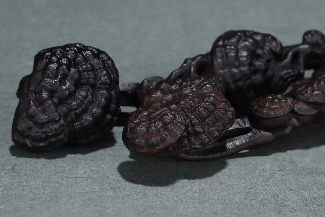 An Exquisite Eaglewood Ganoderma lucidum Pattern Ruyi - 6