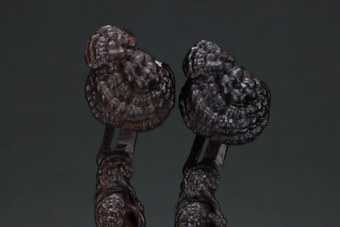 An Exquisite Eaglewood Ganoderma lucidum Pattern Ruyi - 8