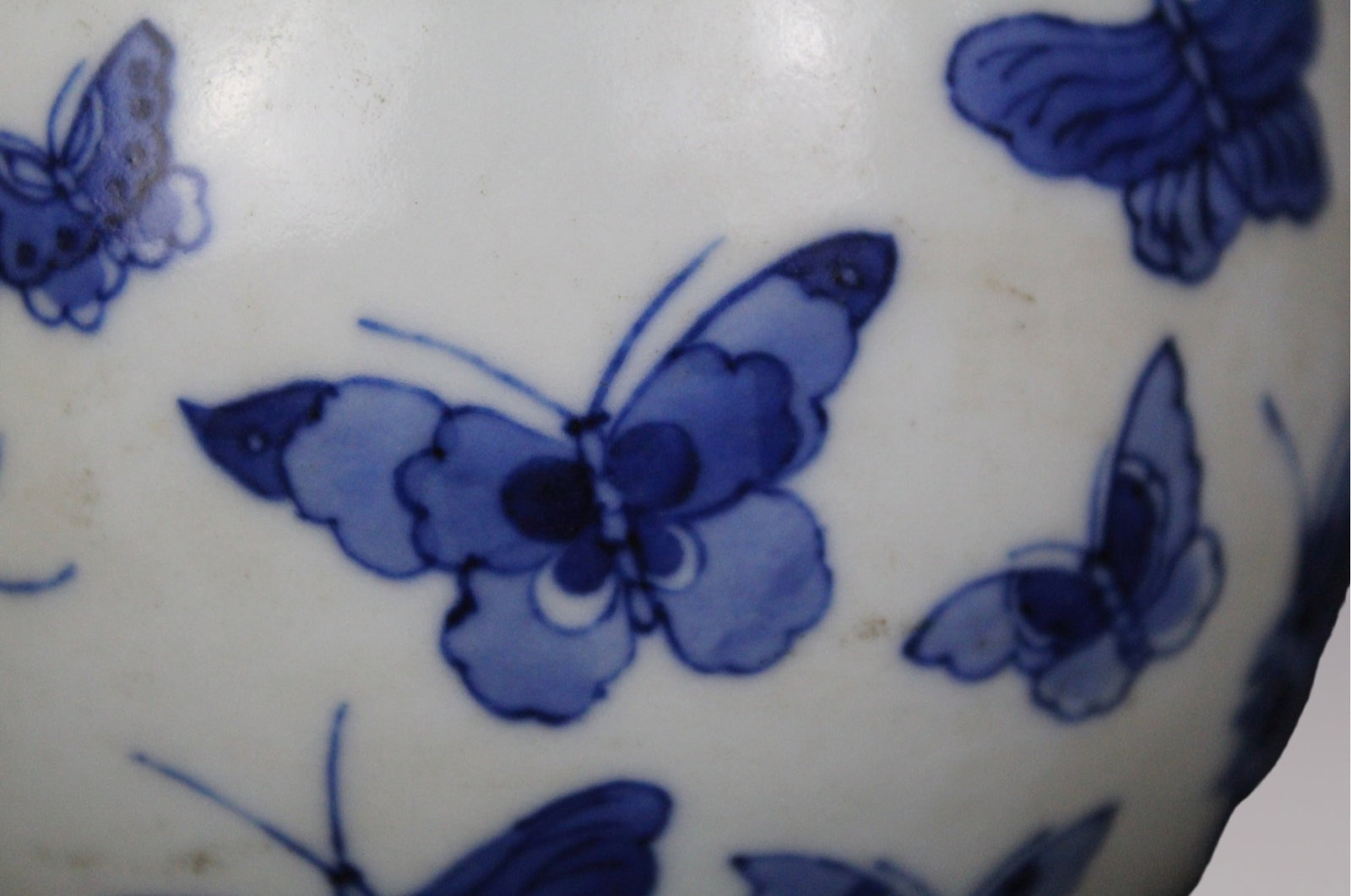 An Exquisite Blue and White Butterfly Pattern Vase - 2