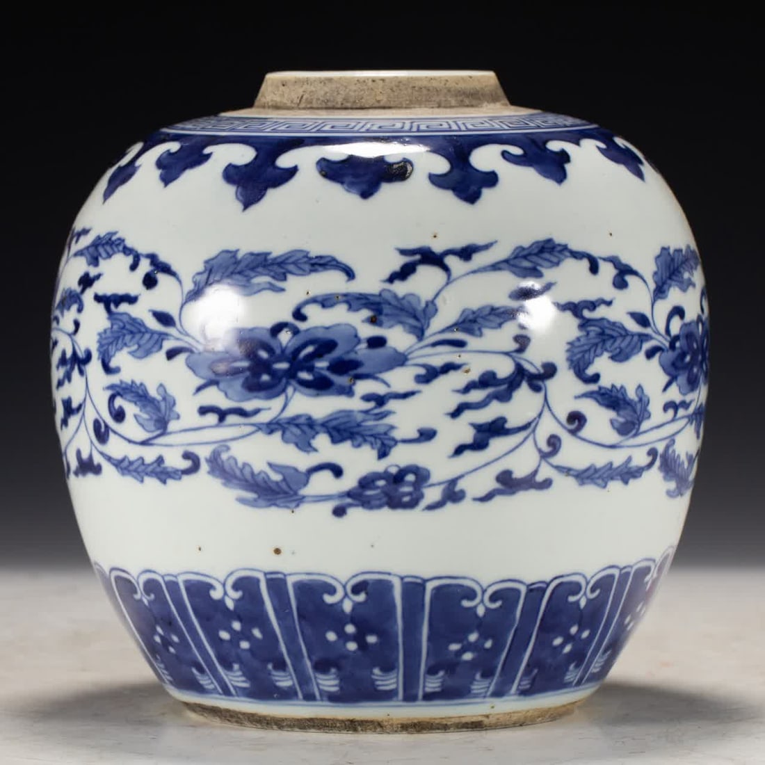 A Ming dynasty blue-and-white jar with floral patterns (1 of 8)