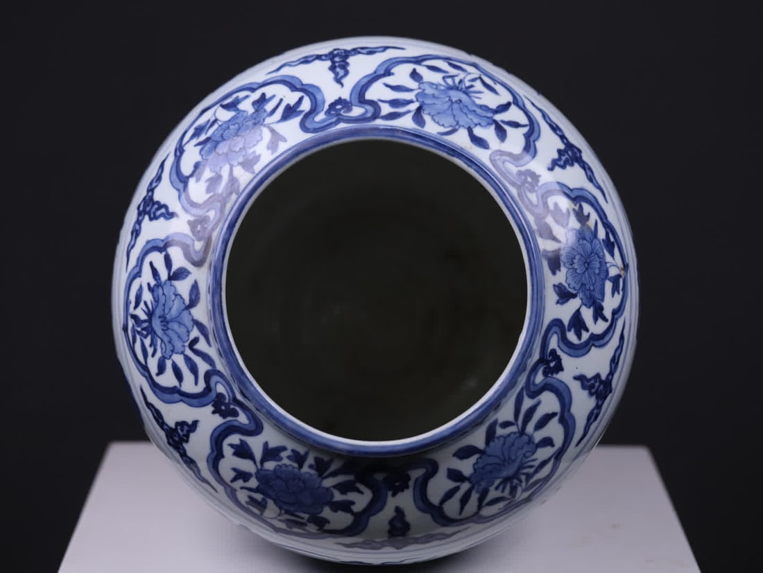 A large Ming dynasty jar with blue-and-white fish and algae patterns - 11