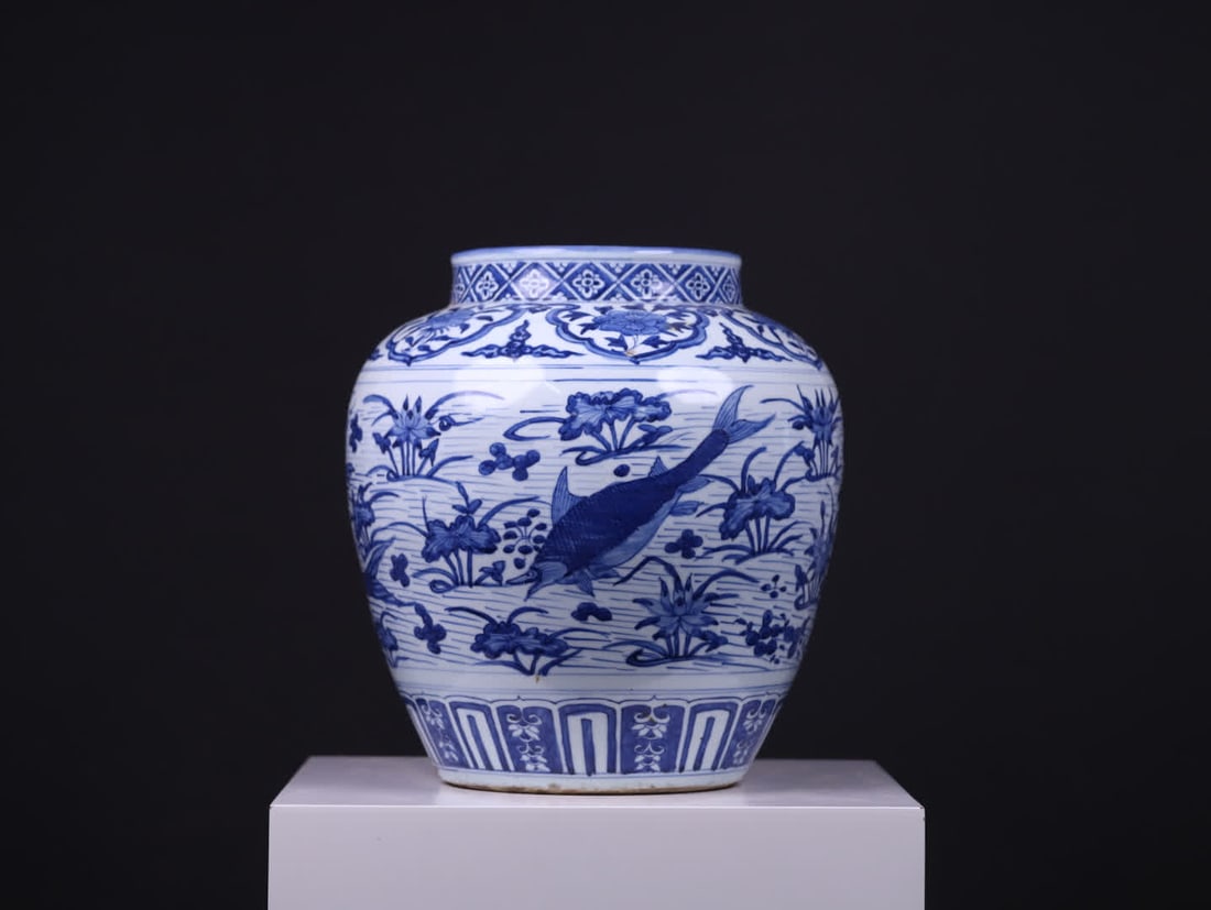 A large Ming dynasty jar with blue-and-white fish and algae patterns (1 of 12)