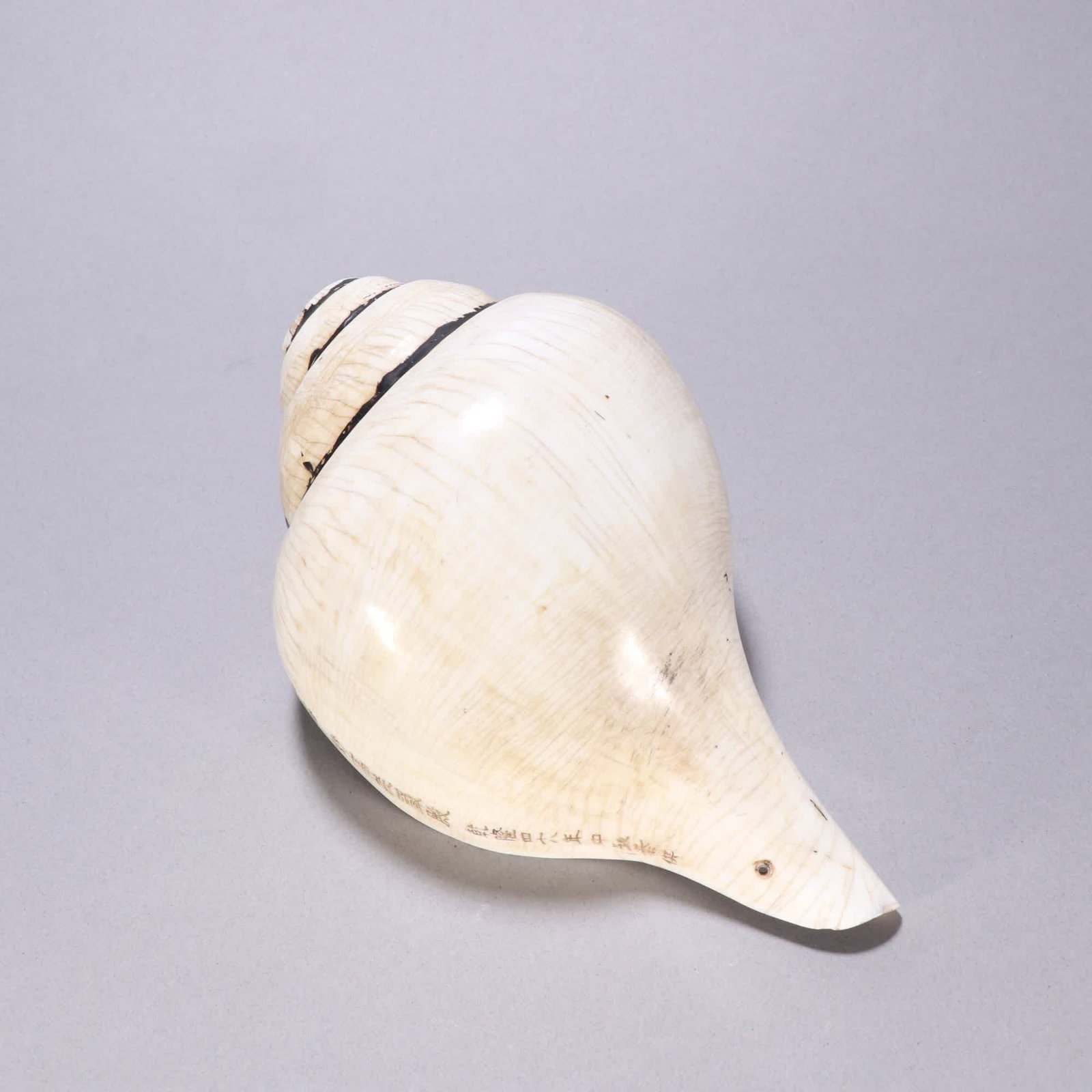 A Qing Dynasty French conch: Qing Dynasty French conch SIZE: L:19.5cm W:12cm W:984.6g (The Dimensions Of All Batches Are Manually Measured.If You Need More Detailed Information, Please Contact Our Customer Service Before