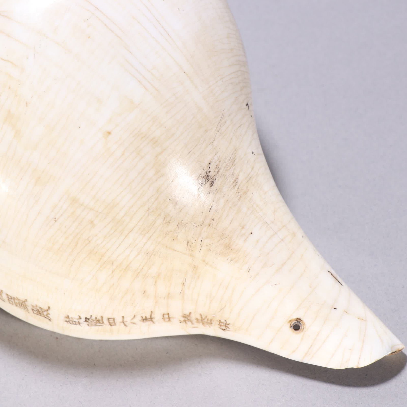 A Qing Dynasty French conch - 2
