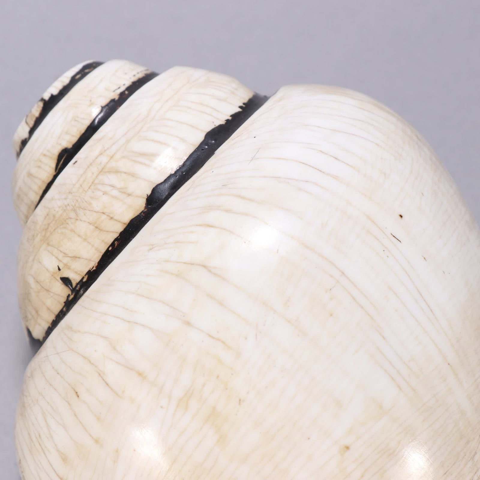 A Qing Dynasty French conch - 3