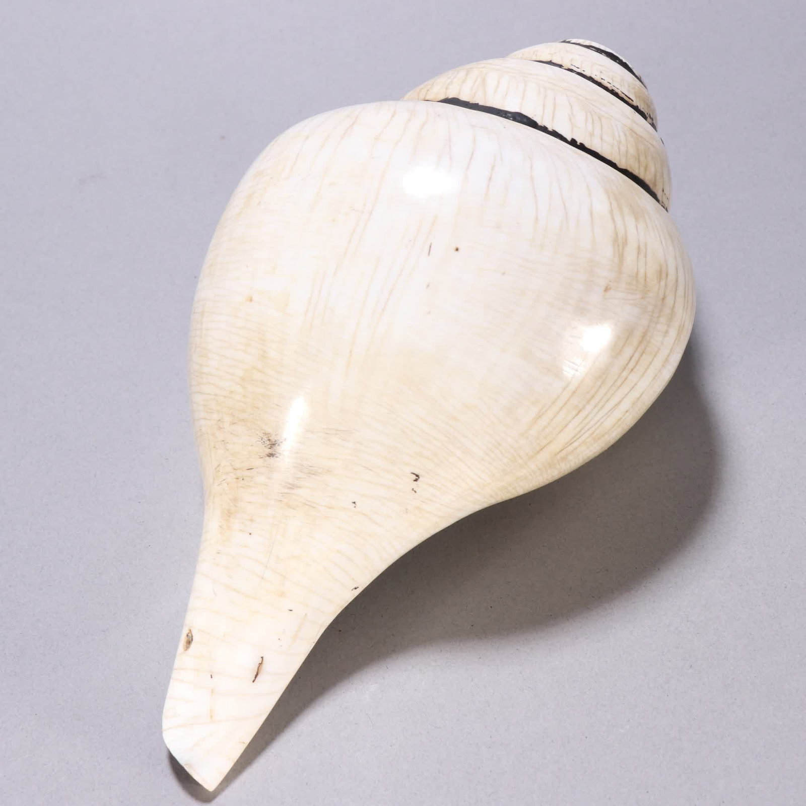 A Qing Dynasty French conch - 4