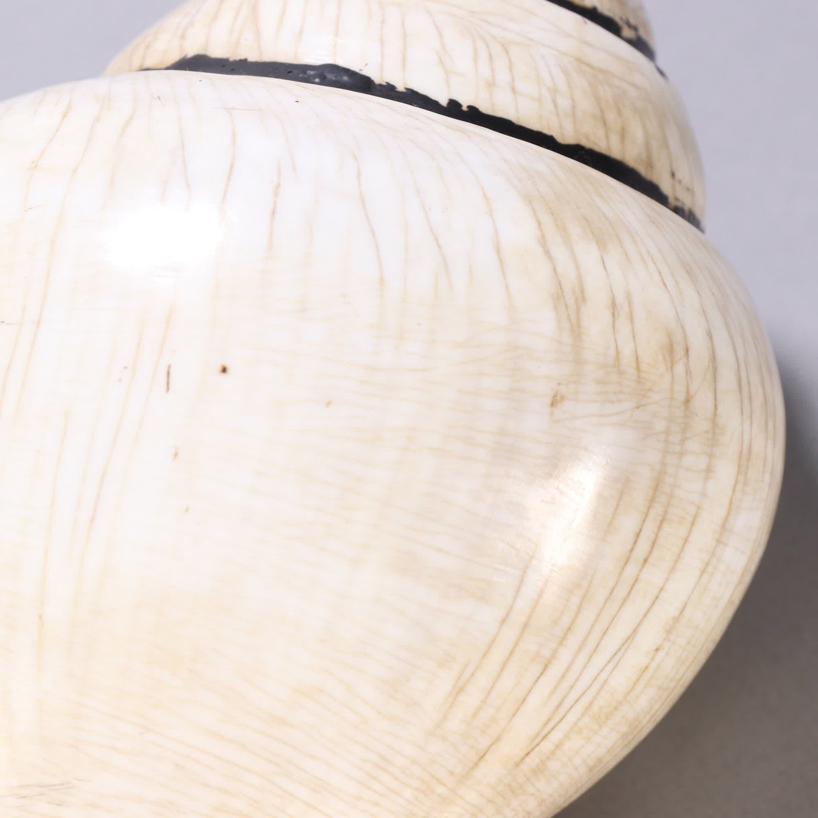 A Qing Dynasty French conch - 5