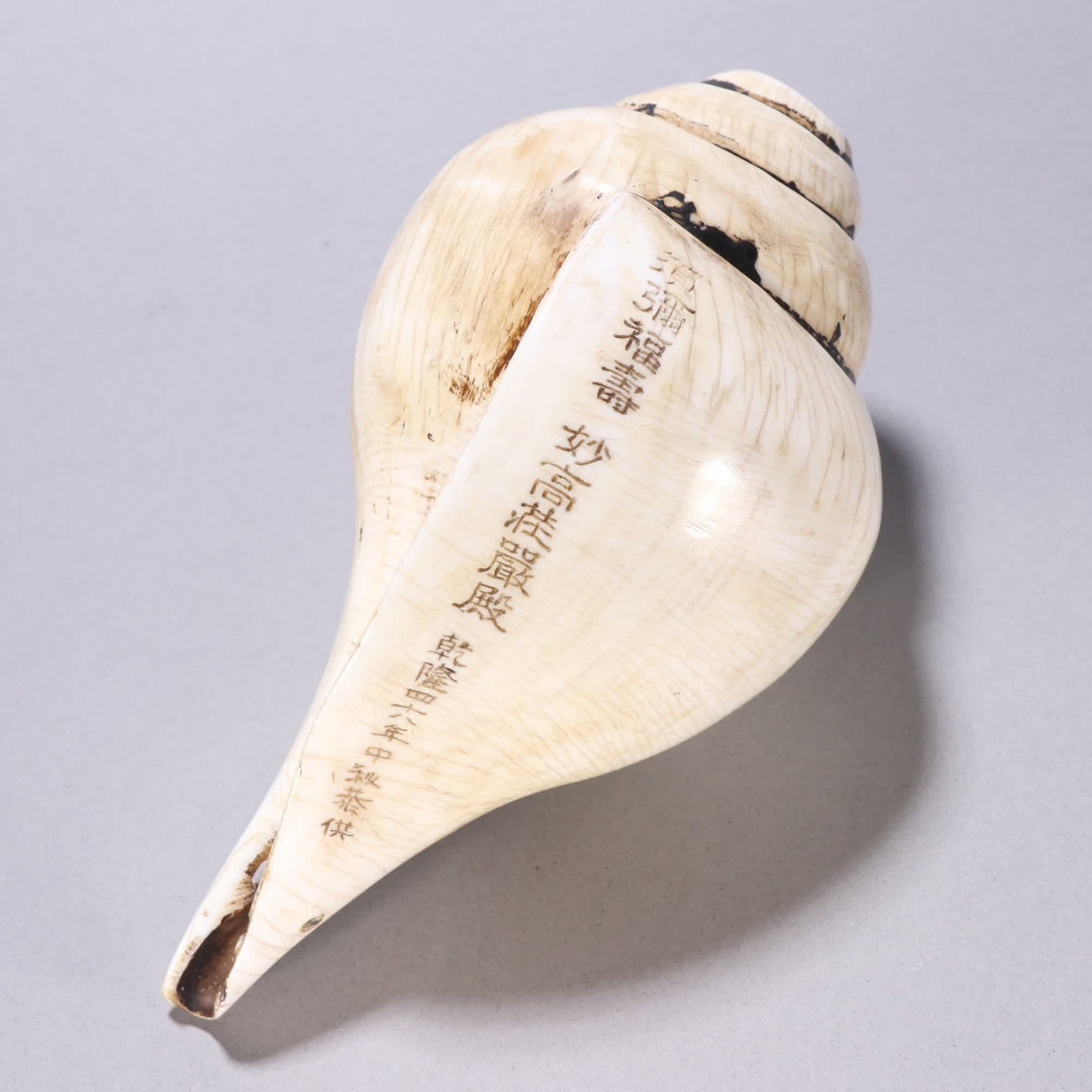 A Qing Dynasty French conch - 6