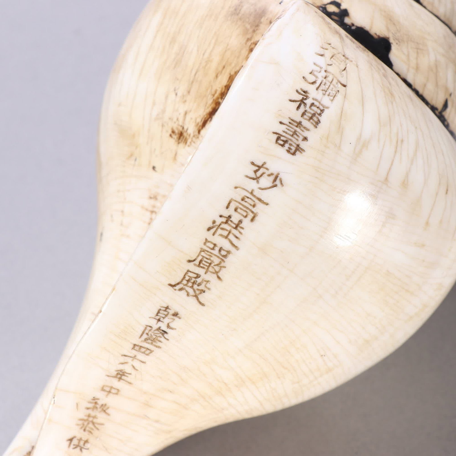 A Qing Dynasty French conch - 7