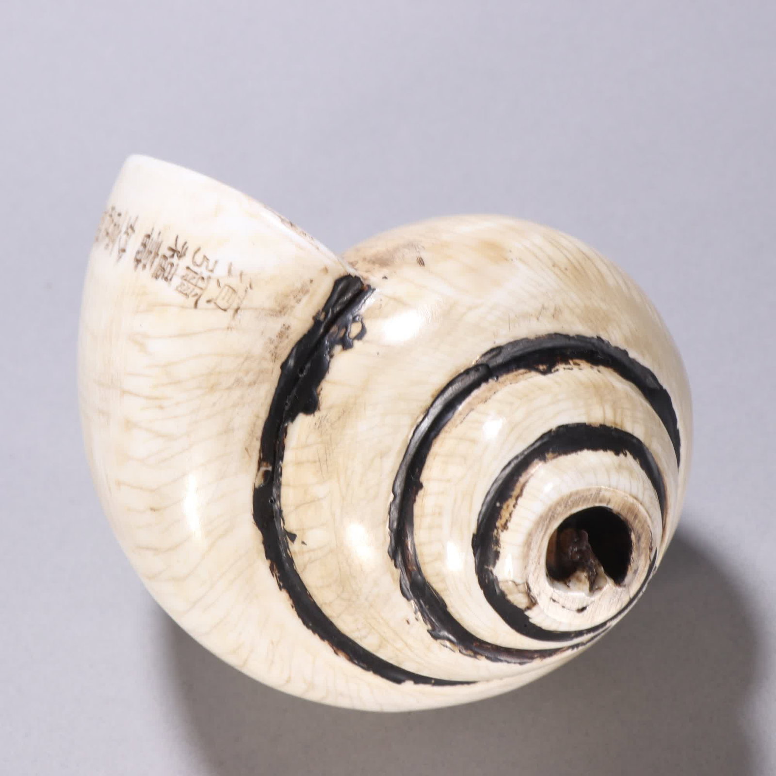 A Qing Dynasty French conch - 8