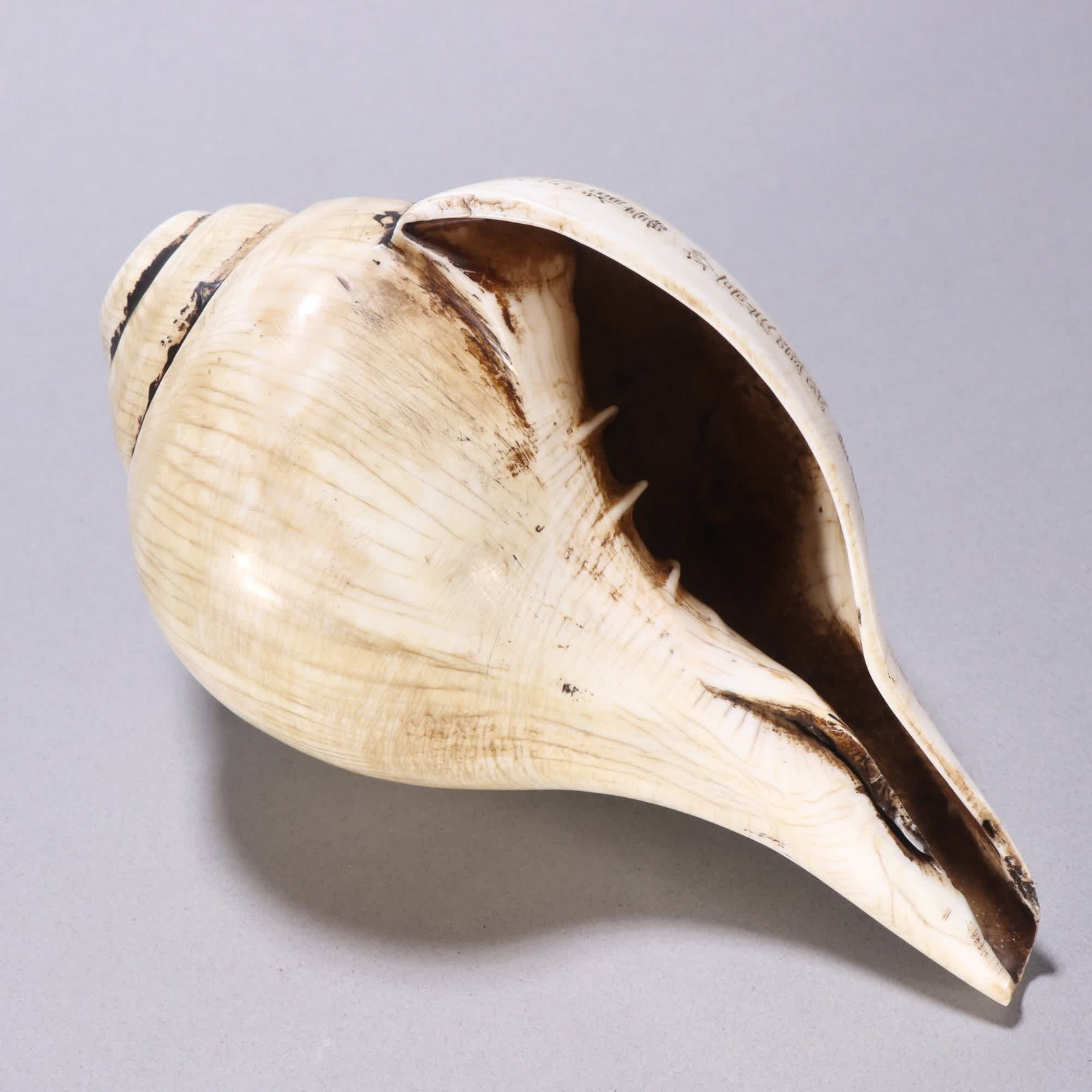 A Qing Dynasty French conch - 9