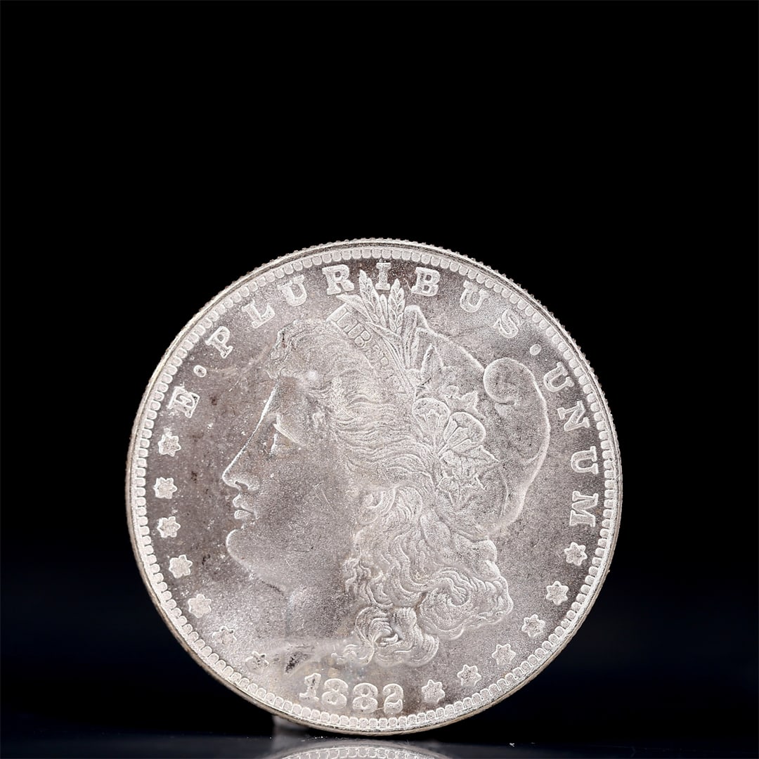 USA Morgan Dollar 1882 Coin: Obv: profile bust with date below and E PLURIBUS UNUM legend and stars around. Rev: eagle with In God we trust above within wreath with UNITED STATES OF AMERICA ONE DOLLAR legend. IN GOD WE TRUST /