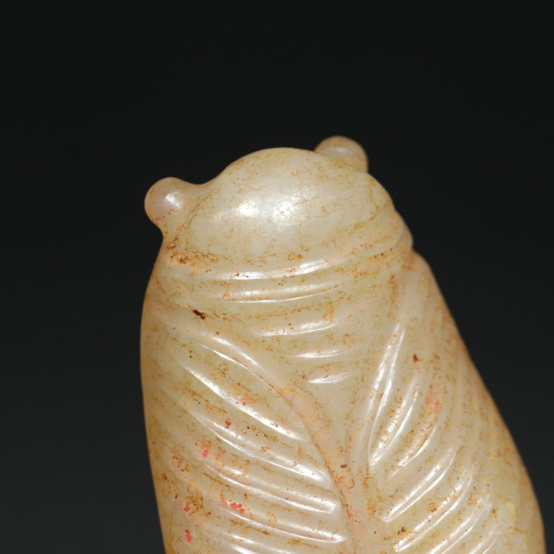 An Exquisite White Jade Cicada Pendant - 6
