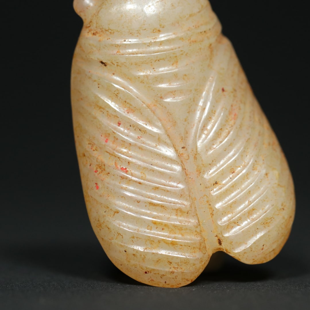 An Exquisite White Jade Cicada Pendant - 7