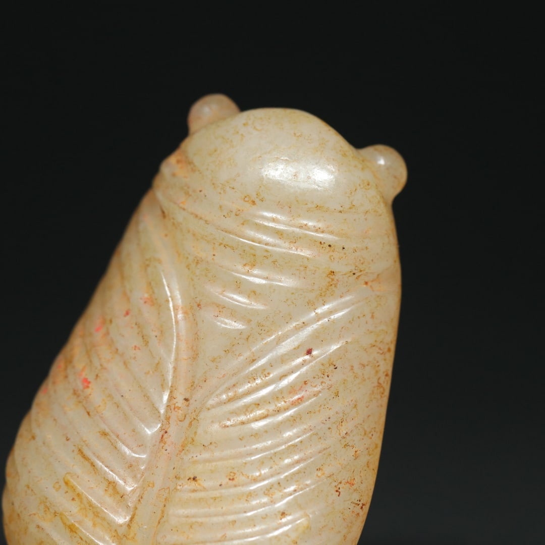 An Exquisite White Jade Cicada Pendant - 8