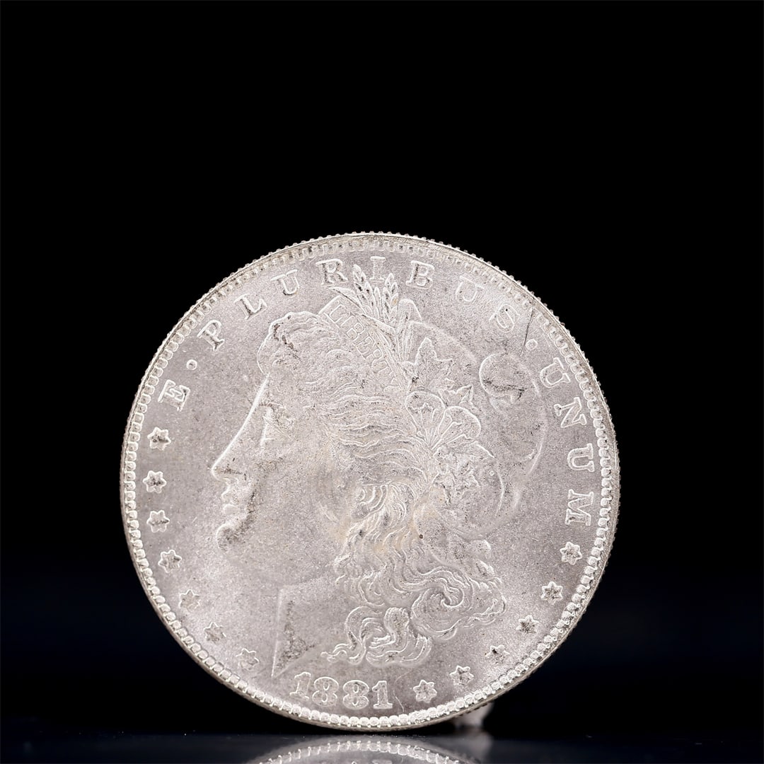 USA Morgan Dollar 1881 Coin: Obv: profile bust with date below and E PLURIBUS UNUM legend and stars around. Rev: eagle with In God we trust above within wreath with UNITED STATES OF AMERICA ONE DOLLAR legend. IN GOD WE TRUST /