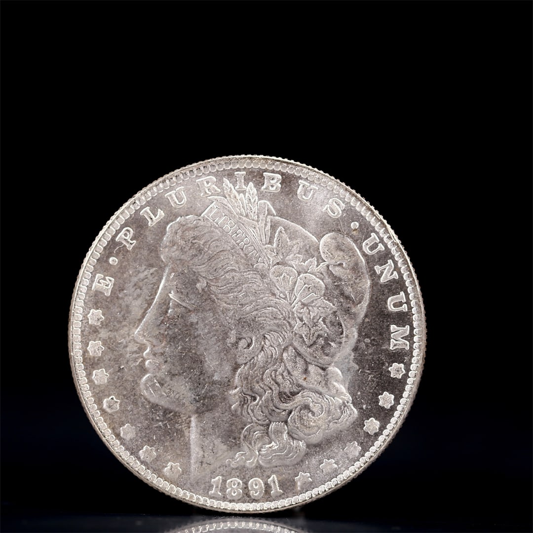 USA Morgan Dollar 1891 Coin: Obv: profile bust with date below and E PLURIBUS UNUM legend and stars around. Rev: eagle with In God we trust above within wreath with UNITED STATES OF AMERICA ONE DOLLAR legend. IN GOD WE TRUST / LI