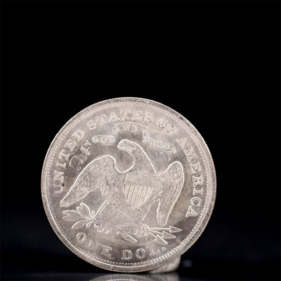 USA One Dollar 1870 Coin - 2