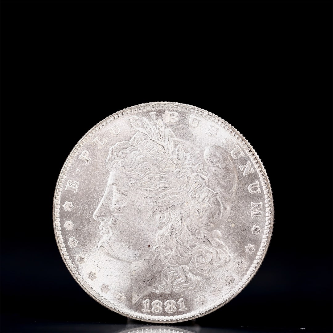 USA Morgan Dollar 1881 Coin: Obv: profile bust with date below and E PLURIBUS UNUM legend and stars around. Rev: eagle with In God we trust above within wreath with UNITED STATES OF AMERICA ONE DOLLAR legend. IN GOD WE TRUST / LI