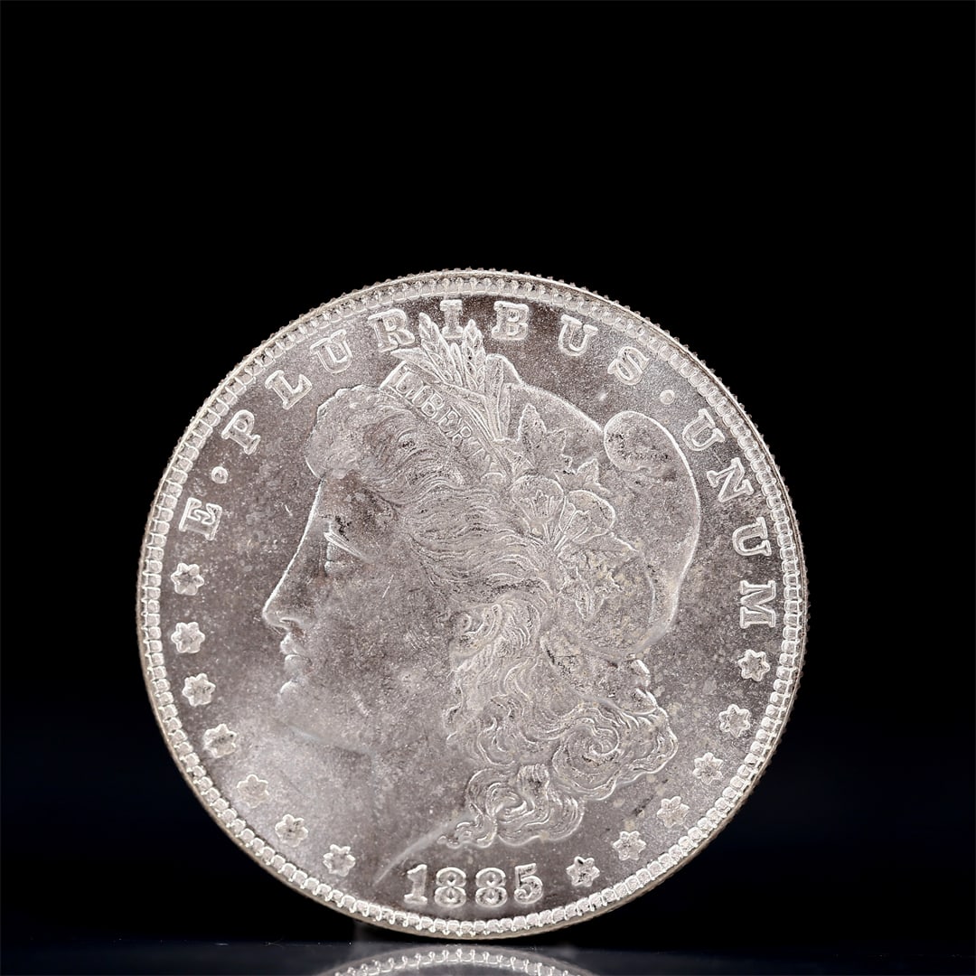 USA Morgan Dollar 1885 Coin: Obv: profile bust with date below and E PLURIBUS UNUM legend and stars around. Rev: eagle with In God we trust above within wreath with UNITED STATES OF AMERICA ONE DOLLAR legend. IN GOD WE TRUST / LI