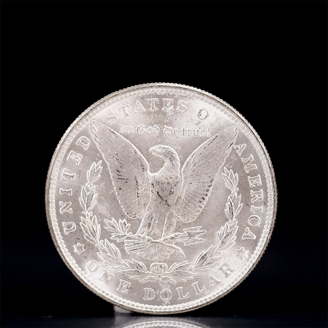 USA Morgan Dollar 1879 Coin - 2