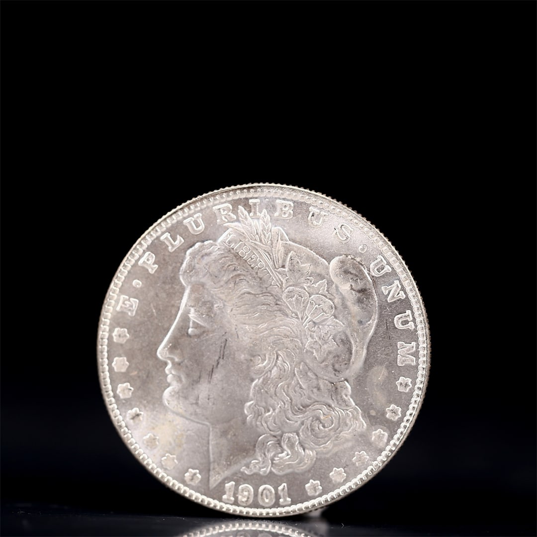 USA Morgan Dollar 1901 Coin: Obv: profile bust with date below and E PLURIBUS UNUM legend and stars around. Rev: eagle with In God we trust above within wreath with UNITED STATES OF AMERICA ONE DOLLAR legend. IN GOD WE TRUST / LI